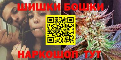 крисы Новокубанск