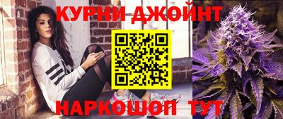 крисы Новокубанск